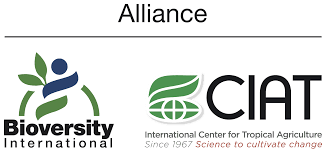 Alliance Bioversity & CIAT